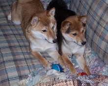 Two of a Kind!