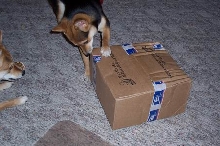 What's in Here??