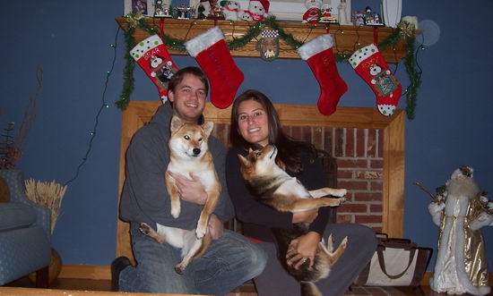 xmas picture