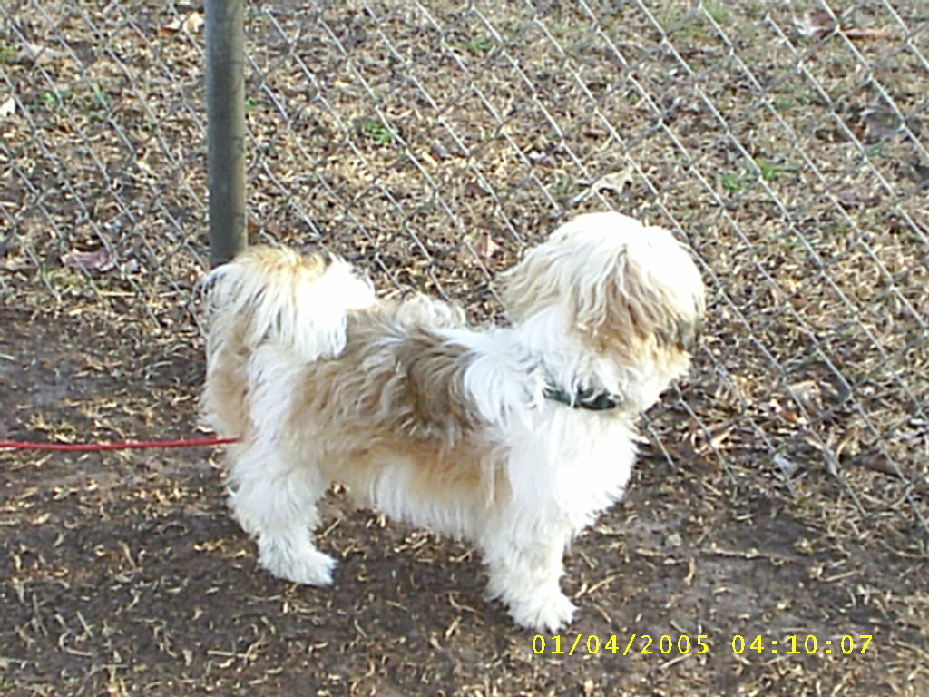 Ready to walk
