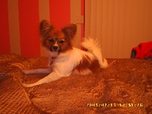 Little Zoey