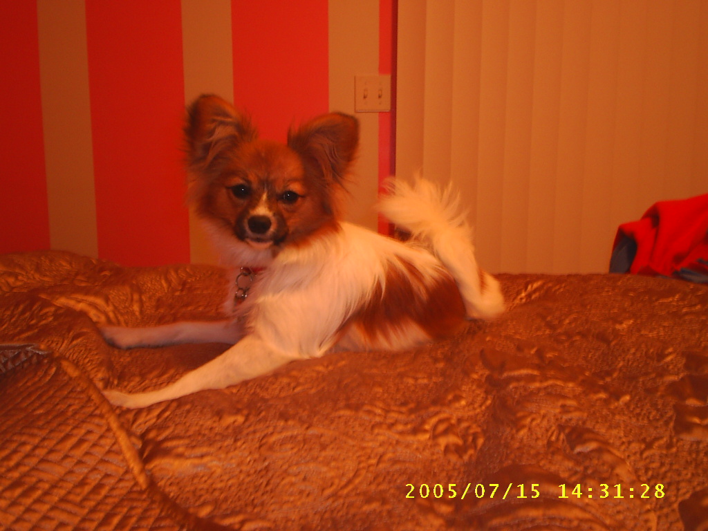 Little Zoey
