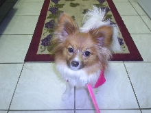 Zoey