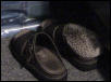 Tiggy in a shoe!