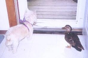 Friends