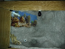 Foster's cave