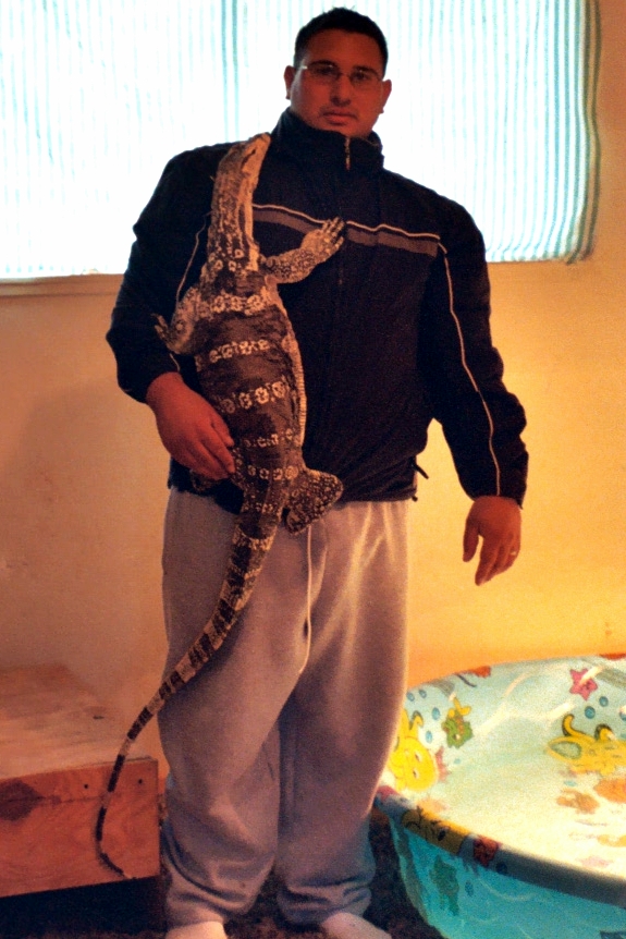 Chompy 5 feet 4 inch Water Monitor