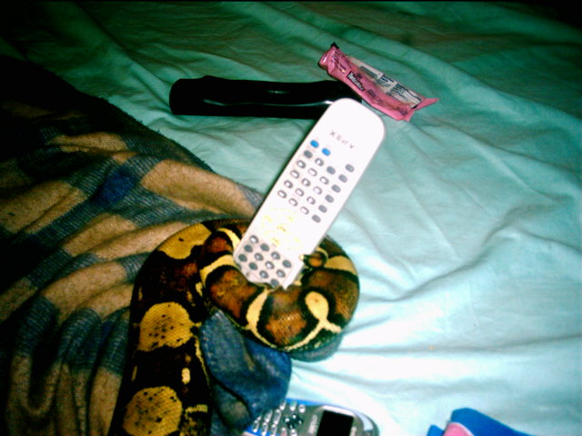 Still holdin the remote...