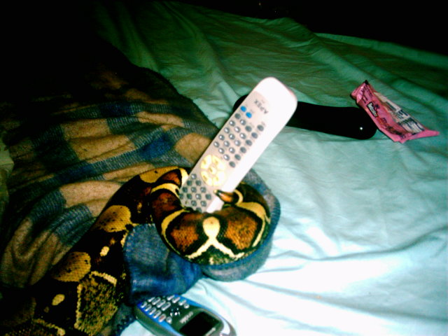 Cleo Watching TV