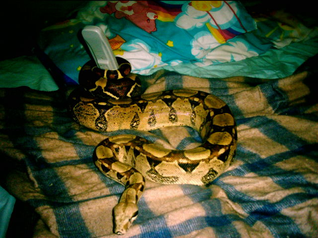 Cleo...nuff said.