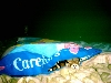 Daisy in pillowcase.