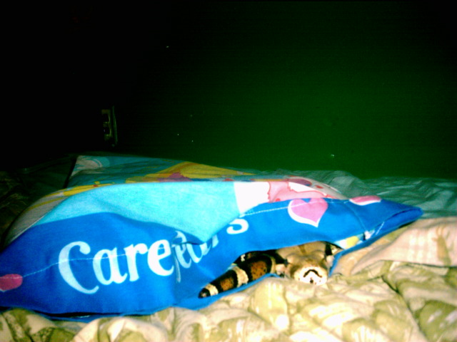 Daisy in pillowcase.