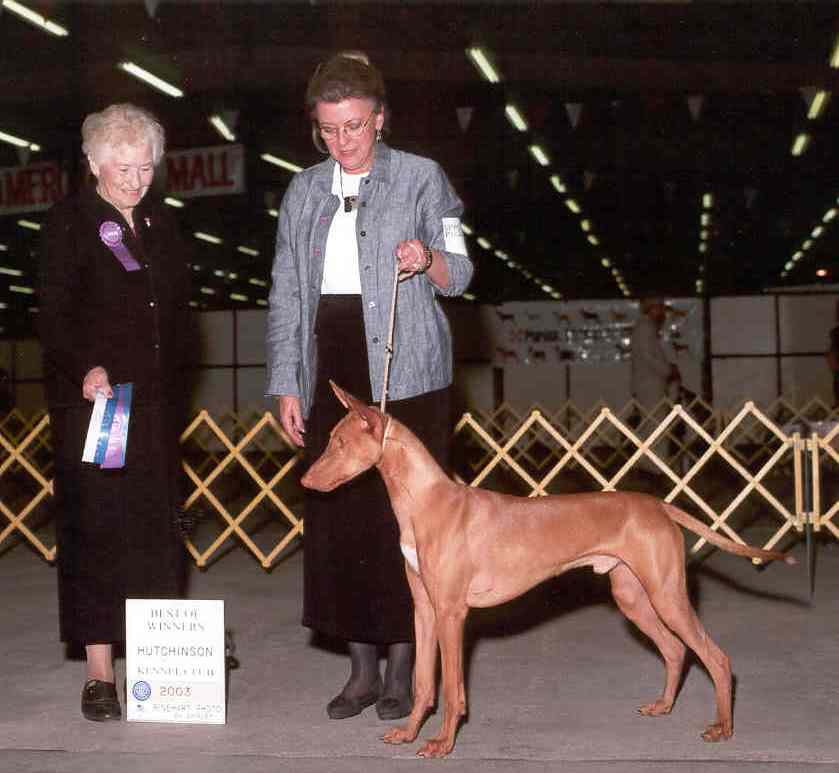 1st Show Points