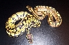 bumblekit2