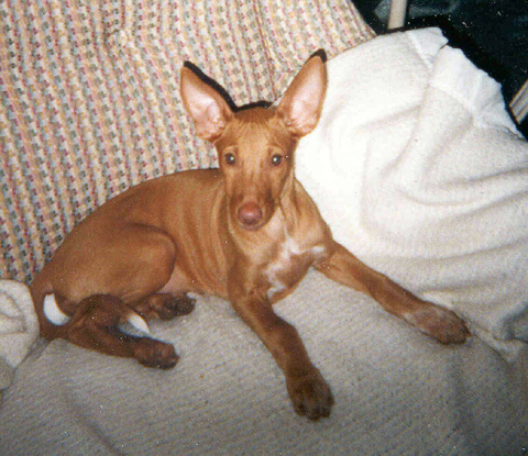 Breeze at 11 weeks