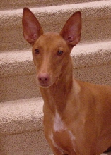 Happy 6th Birthday Breeze