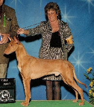 Callahan & Nina 2007