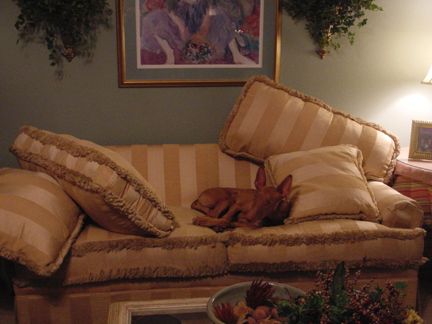 Make yourself comfortable......