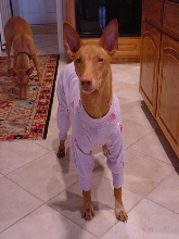 pajamas - front shot