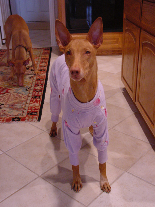 pajamas - front shot