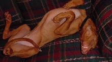 Sleepy time