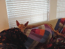 Laying around on 6th Birthday