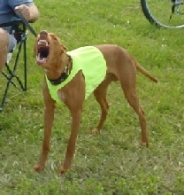 Coursing blanket