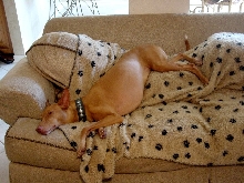 Knowing how to relax