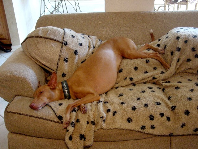 Knowing how to relax