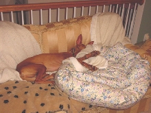 Lady of Leisure