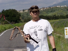 So. Calif. Red Racer
