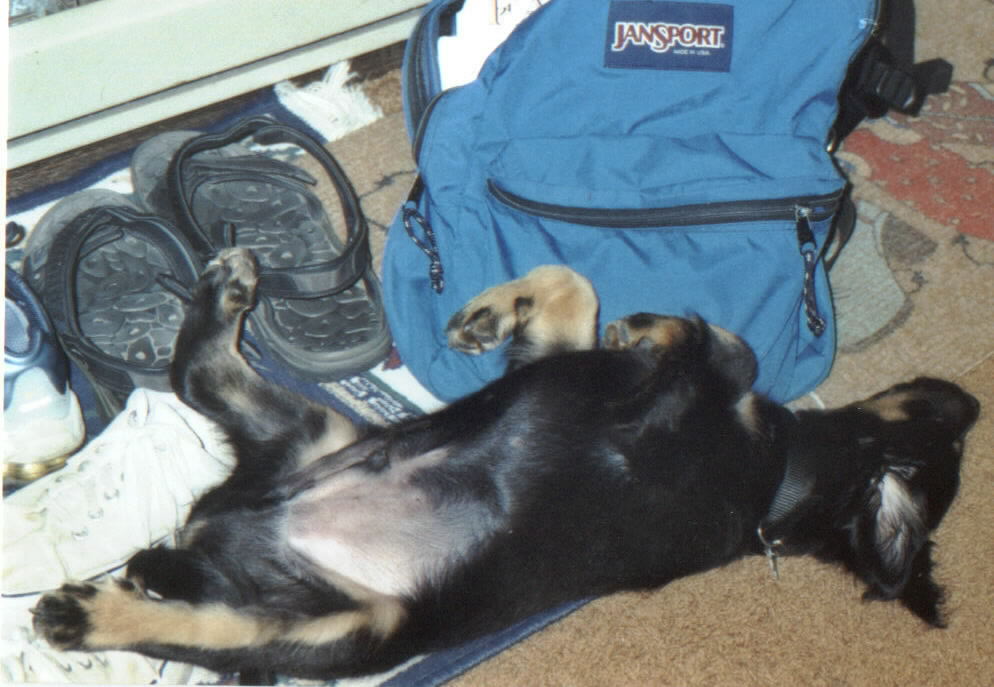 Rileyasleep