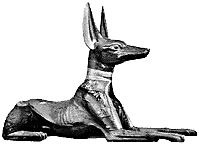 Anubis