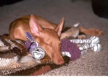 Sleepy Khami