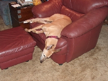 Lexi chair