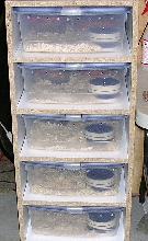 one of my racks