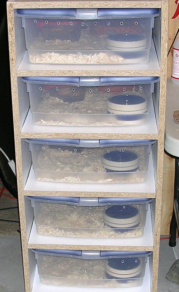 one of my racks