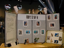 Abyssinian Display