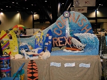 Cornish Rex Display