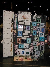 Oriental Breed Display