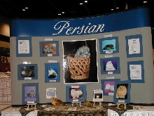Persian Display
