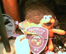wow my lizards taking the law into there own hands!