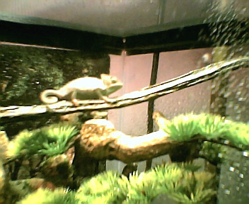 more more