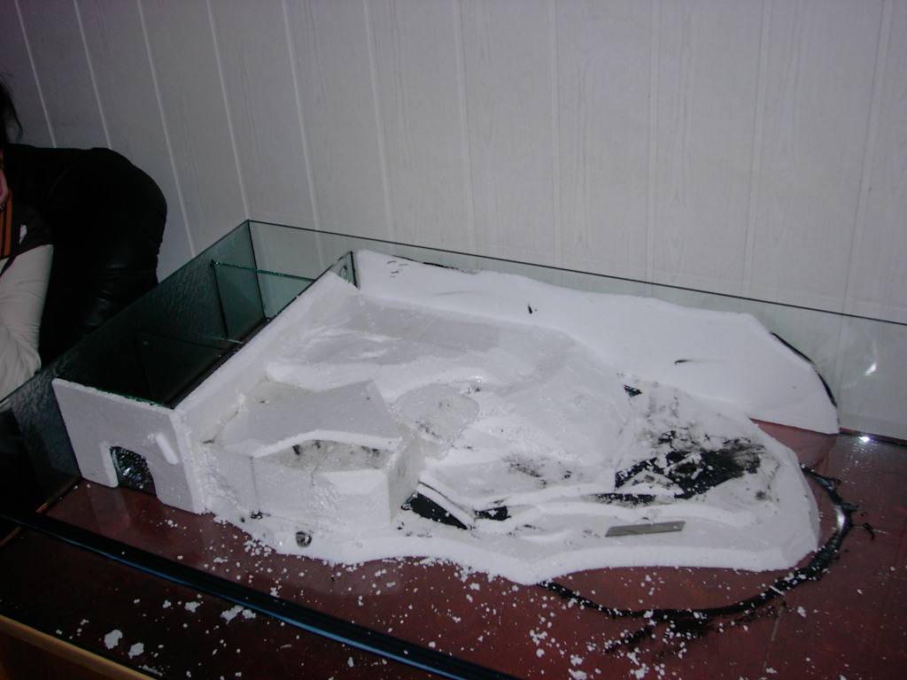 Terrarium for my Paleosuchus