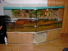 Aquaterrarium for my Dwarf