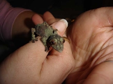 My little henkeli baby! Look at all that green!