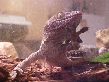 Killian taking a look around