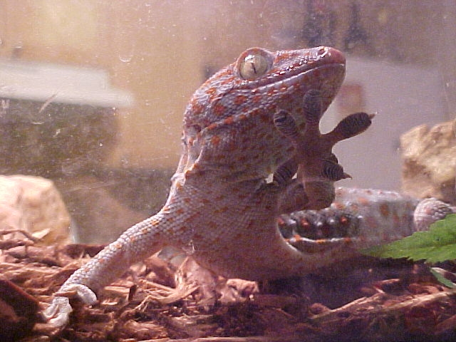 Killian taking a look around