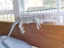Killian looking out the window