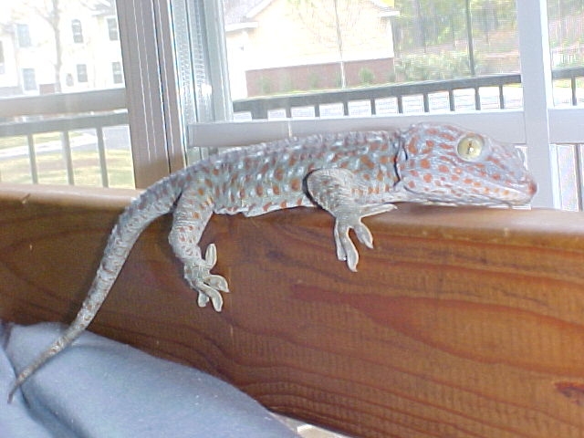 Killian looking out the window